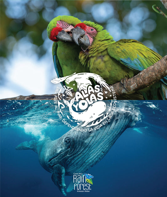 Wings & Waves: From Air to Sea, defending life in each ecosystem