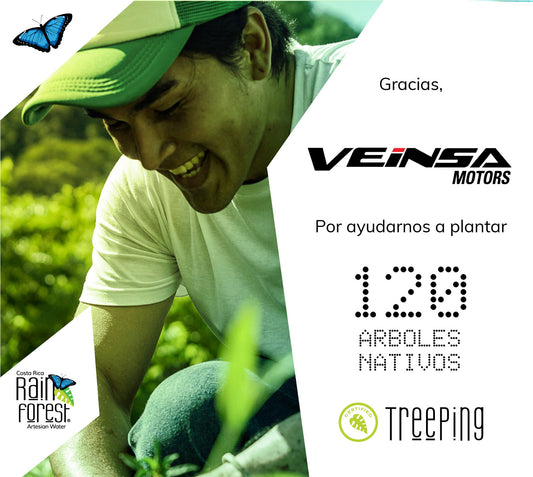 Treeping Reforestation: Planting trees in Costa Rica with VEINSA Motors